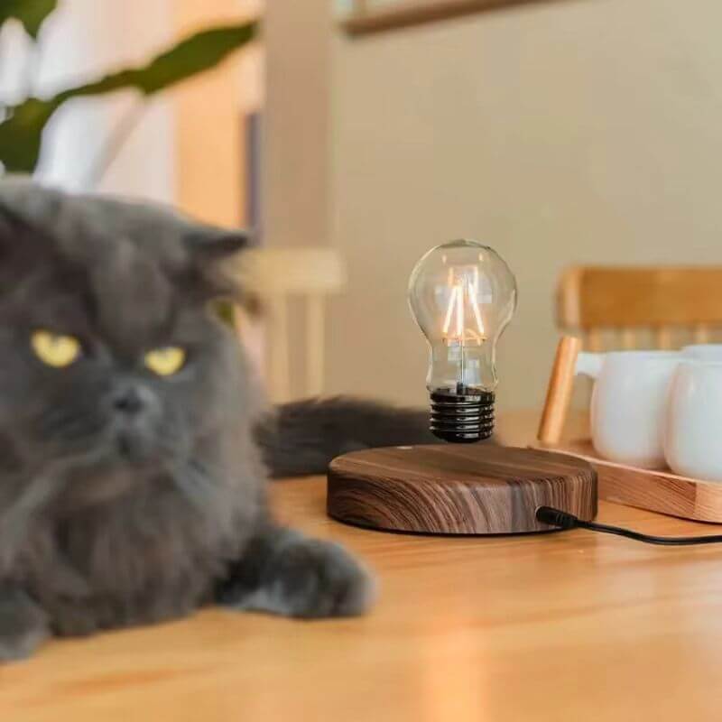 Abajur e Luminária de Levitação Magnética Modelo Bulb
